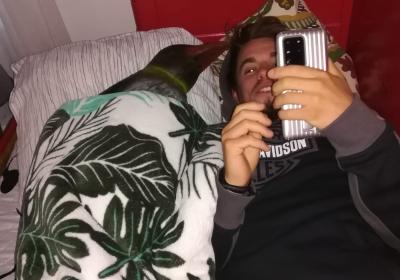 A Letto Col Pinguino